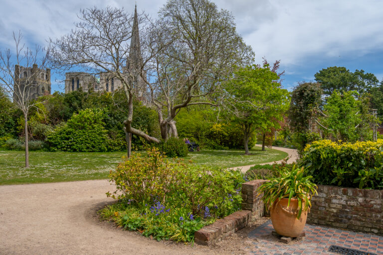 Local Area Photography
