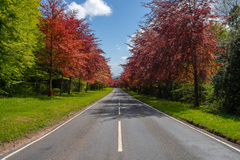 Local Area Photography