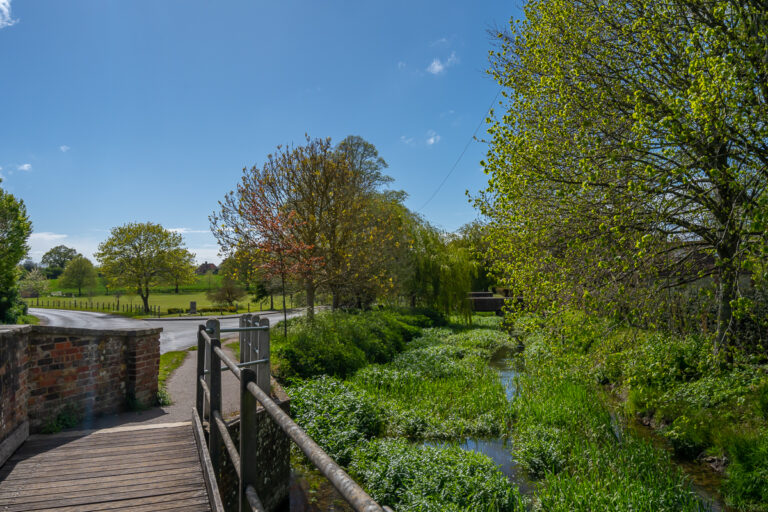 Local Area Photography