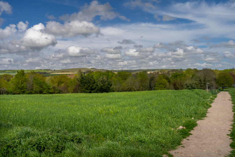 Local Area Photography