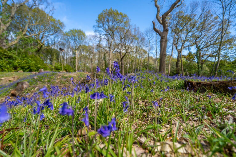 Local Area Photography